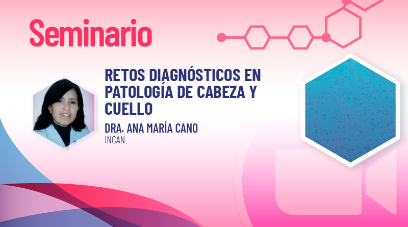 Evento_250225