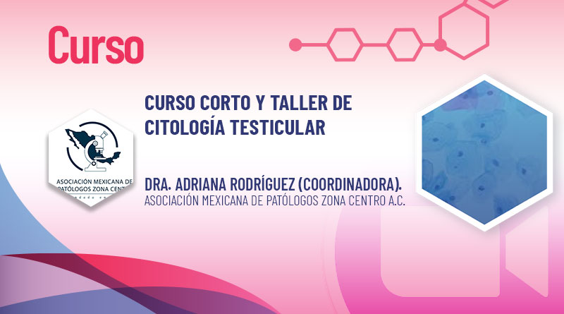 Evento_260725